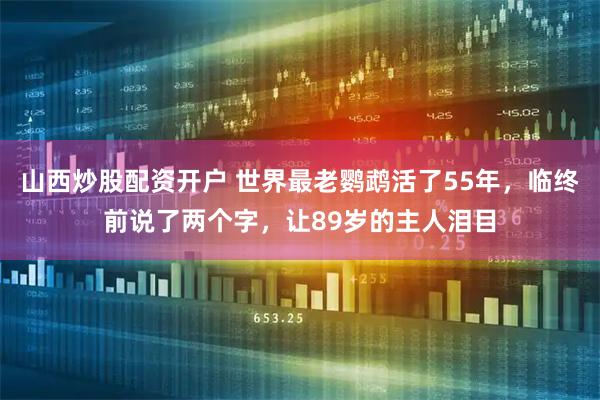 山西炒股配资开户 世界最老鹦鹉活了55年，临终前说了两个字，让89岁的主人泪目