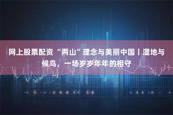 网上股票配资 “两山”理念与美丽中国丨湿地与候鸟，一场岁岁年年的相守